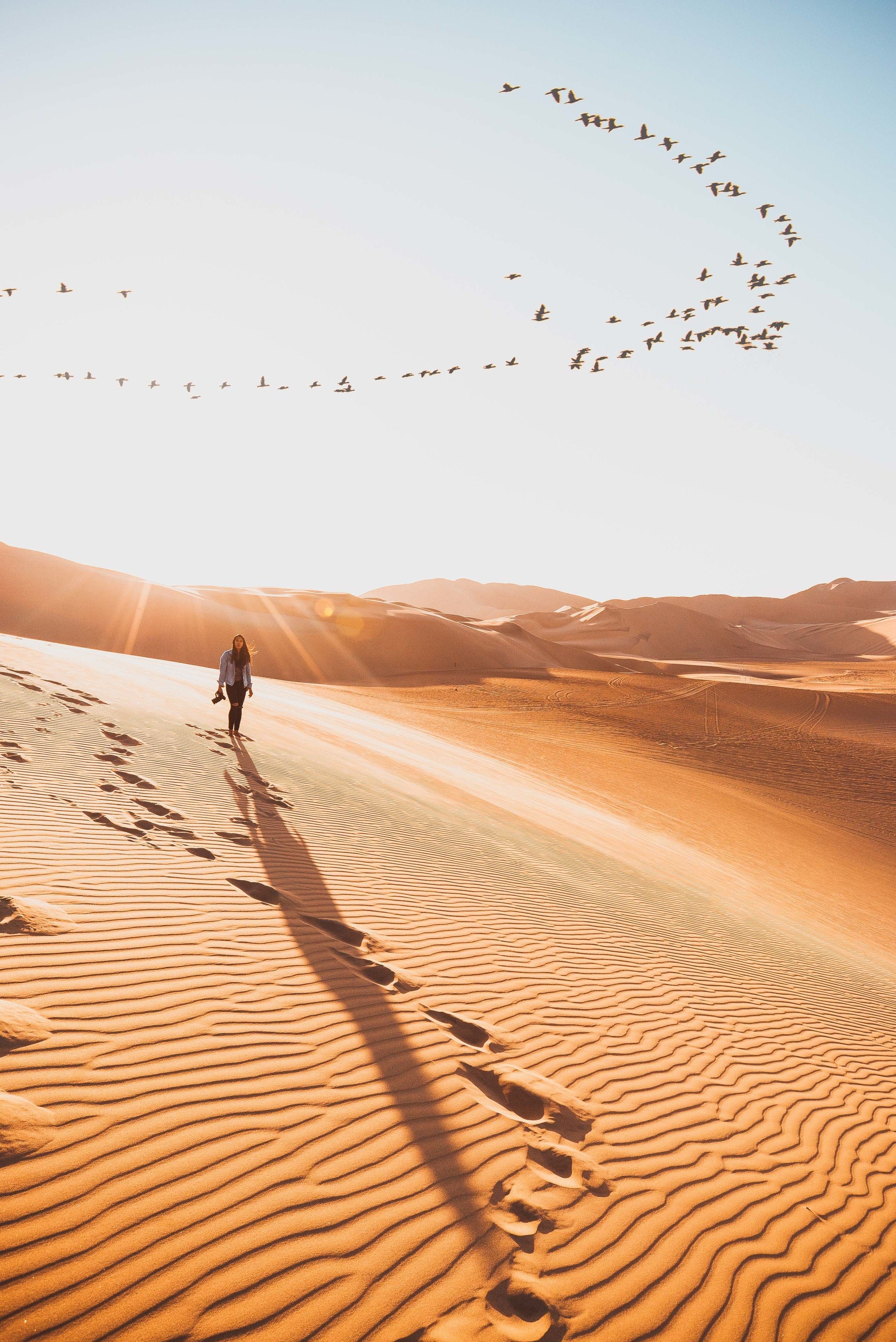 A desert landscape with sand dunes and a person walking towards the horizon.