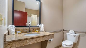 A bathroom with a granite sink, mirror, toilet, and handrails.