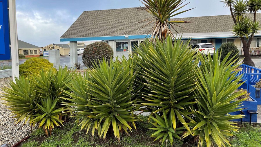 Baymont by Wyndham Fort Bragg