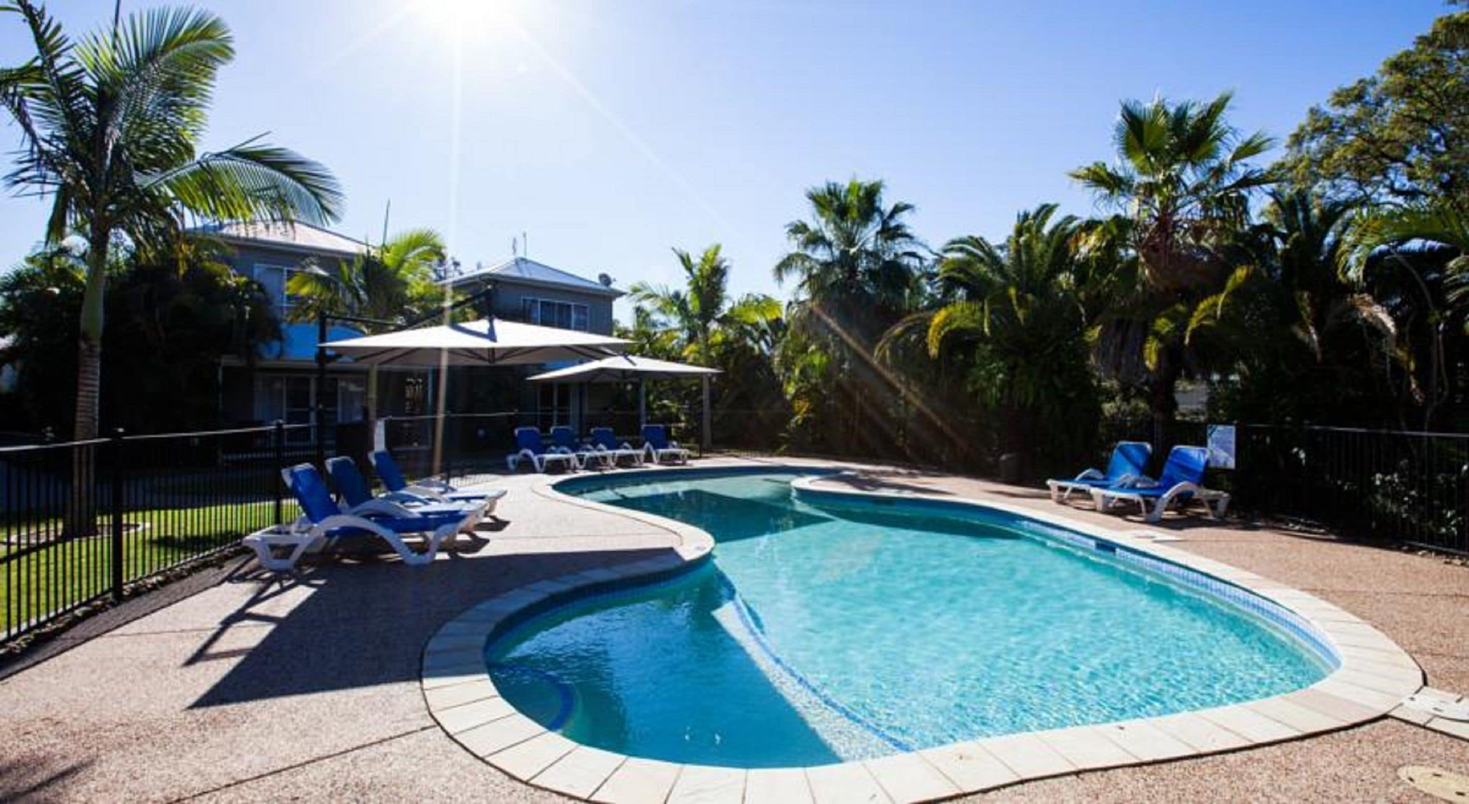 A swimming pool with lounge chairs and umbrellas, surrounded by palm trees and a building in the background.