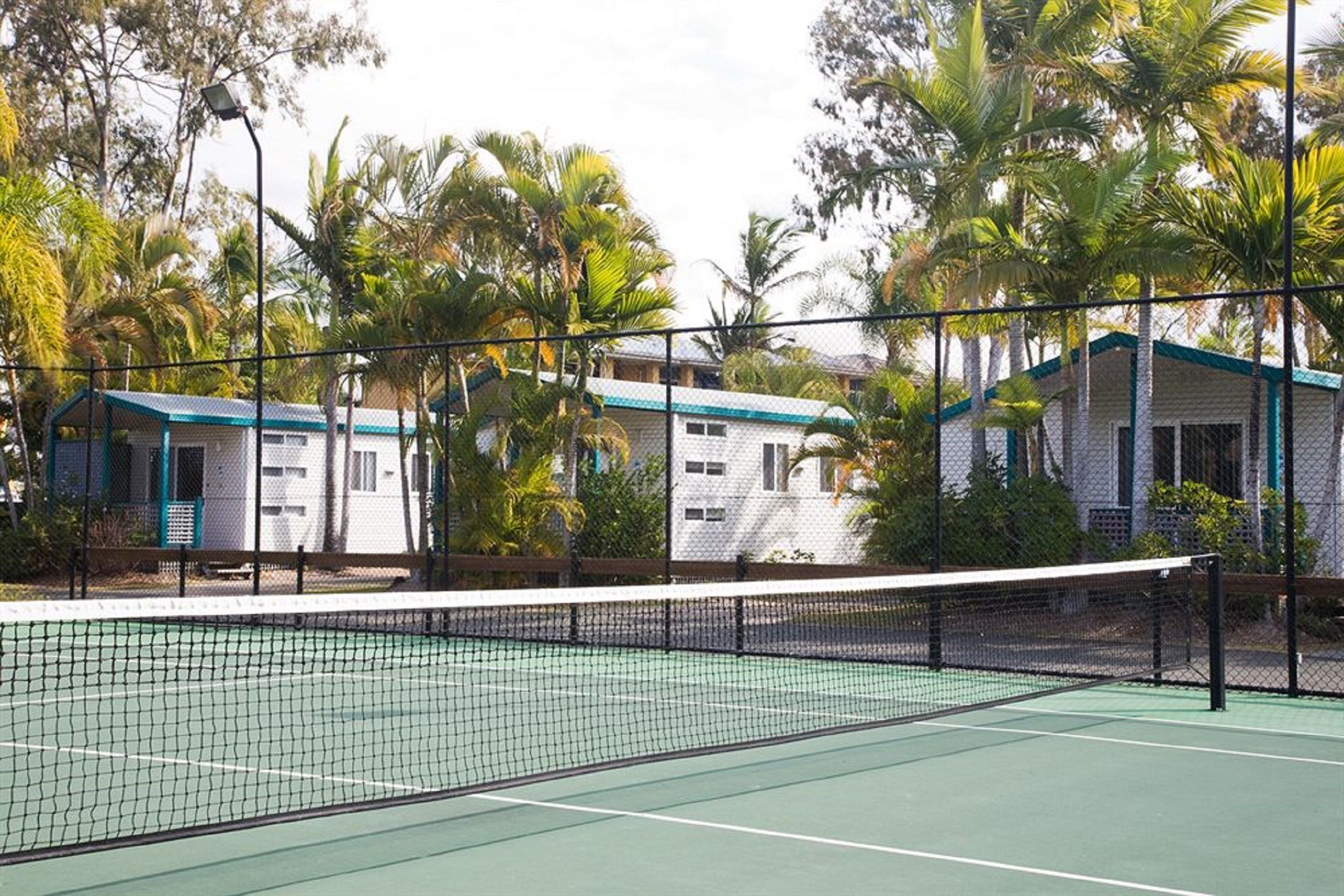 A tennis court with a net, surrounded by a fence, and palm trees in the background.