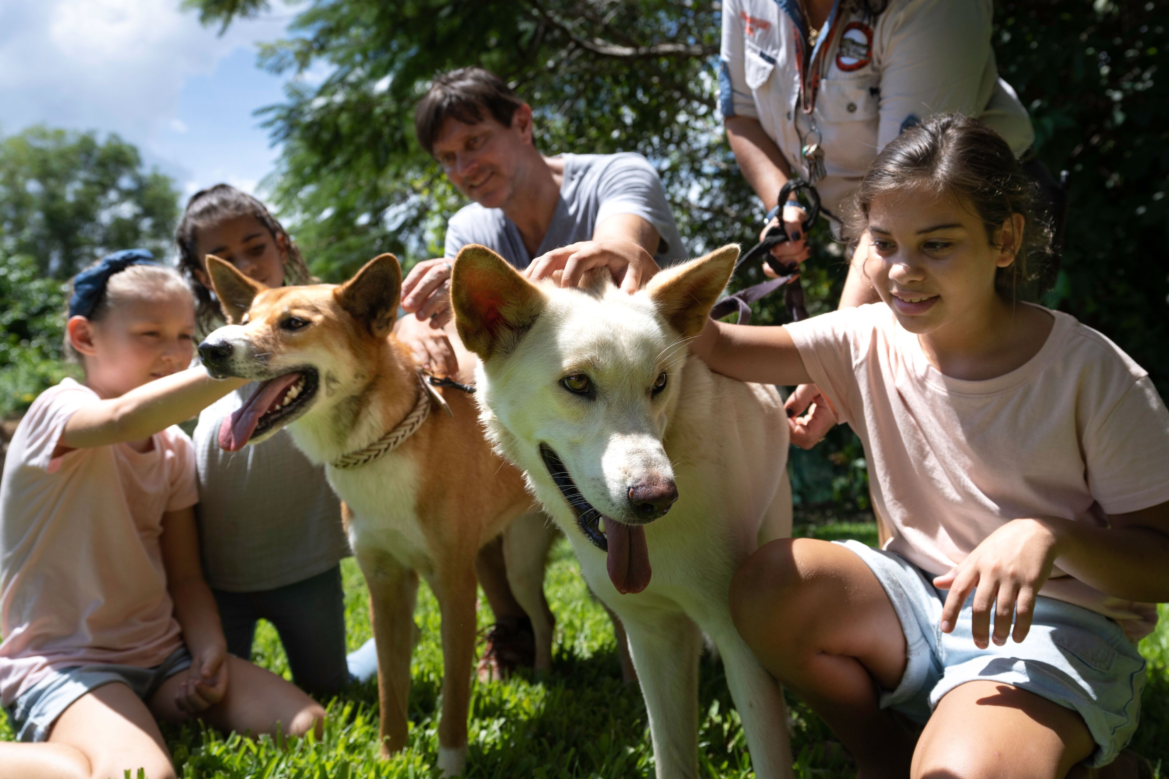A group of people sitting on grass with a dog and a cat.