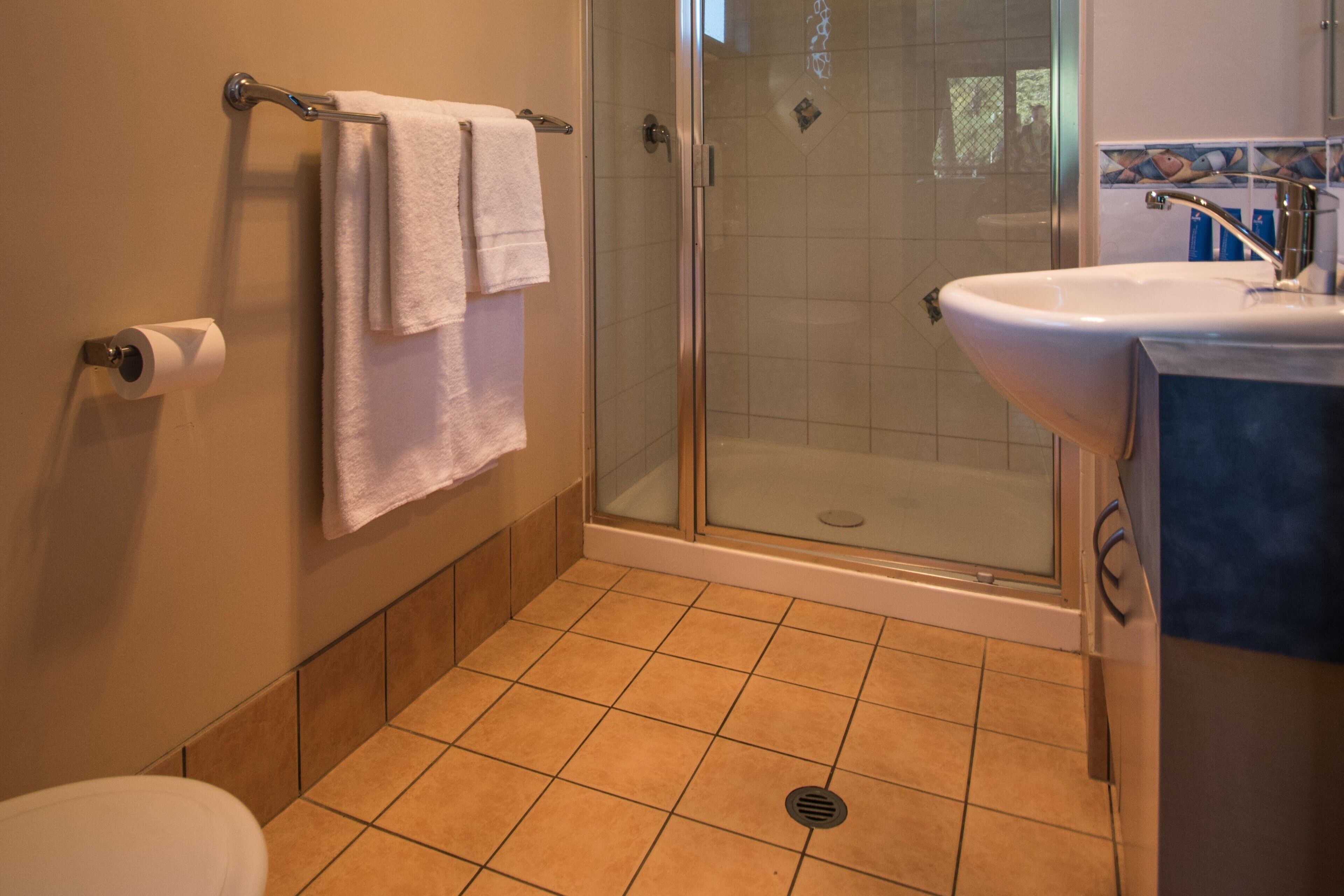 Une salle de bain avec douche, toilettes et lavabo.