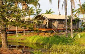 Overwater cabins offer serene views of the surrounding greenery and palm trees.