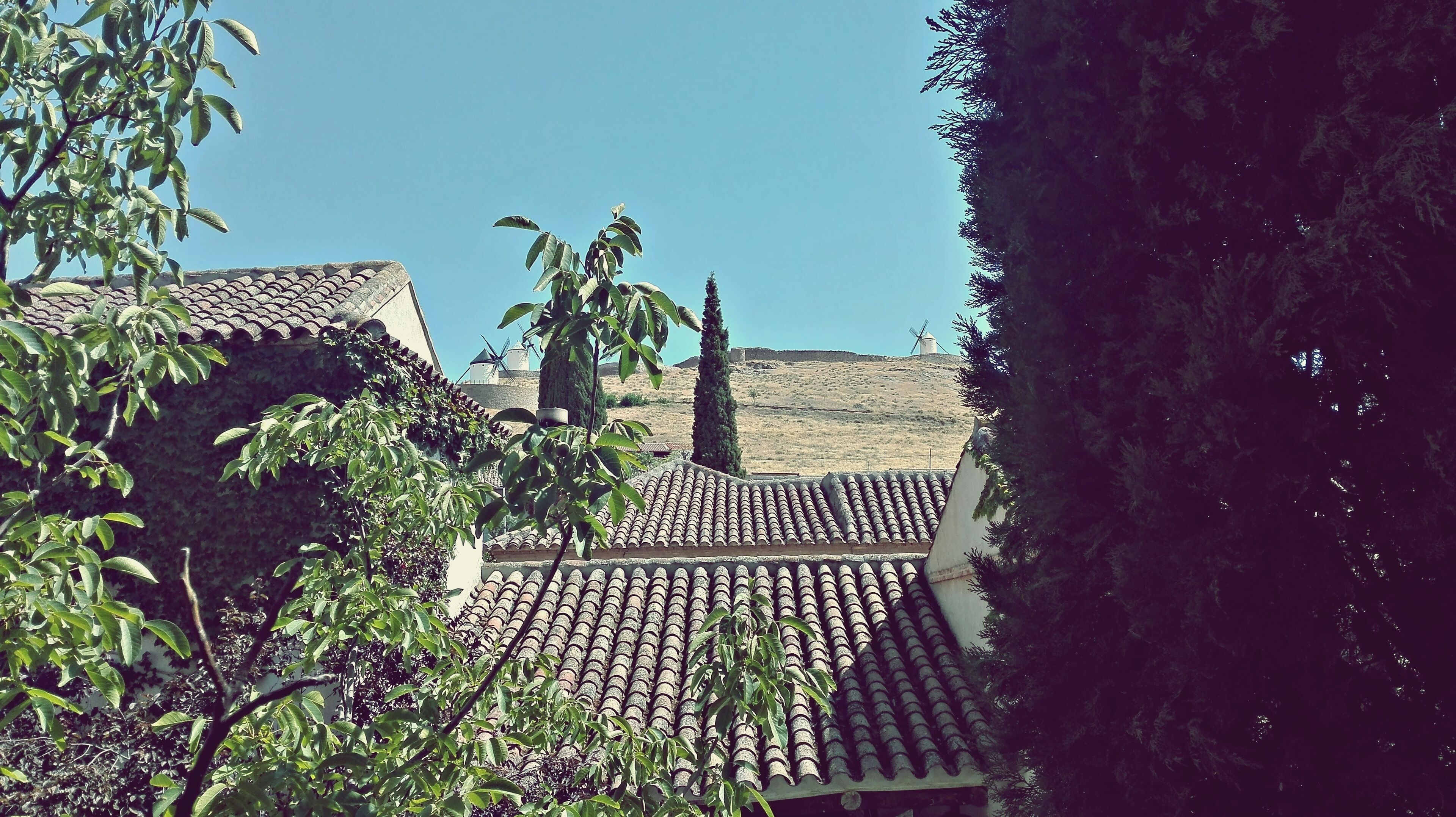 superior room, 1 bedroom | garden view