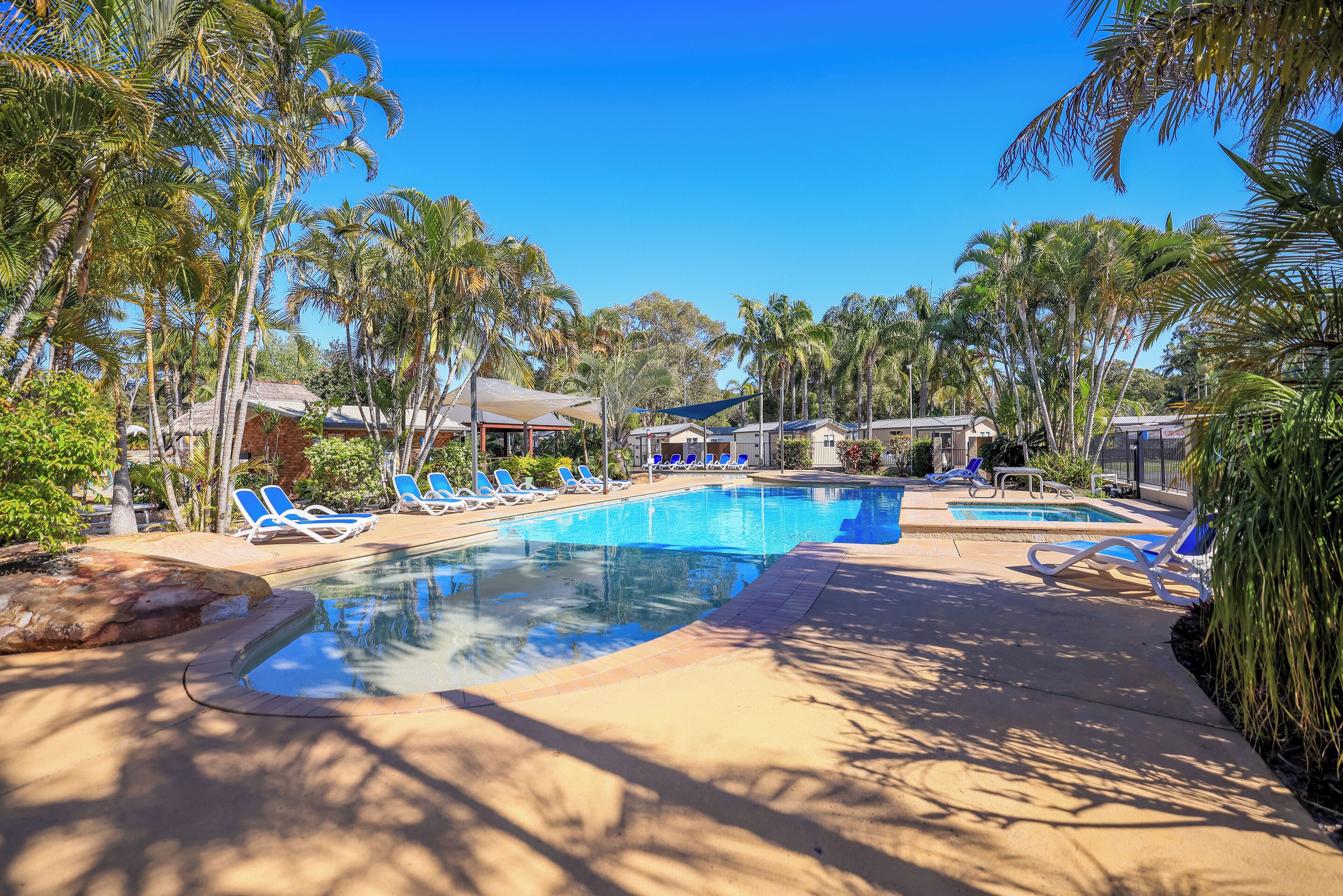 A pool area with lounge chairs and palm trees.