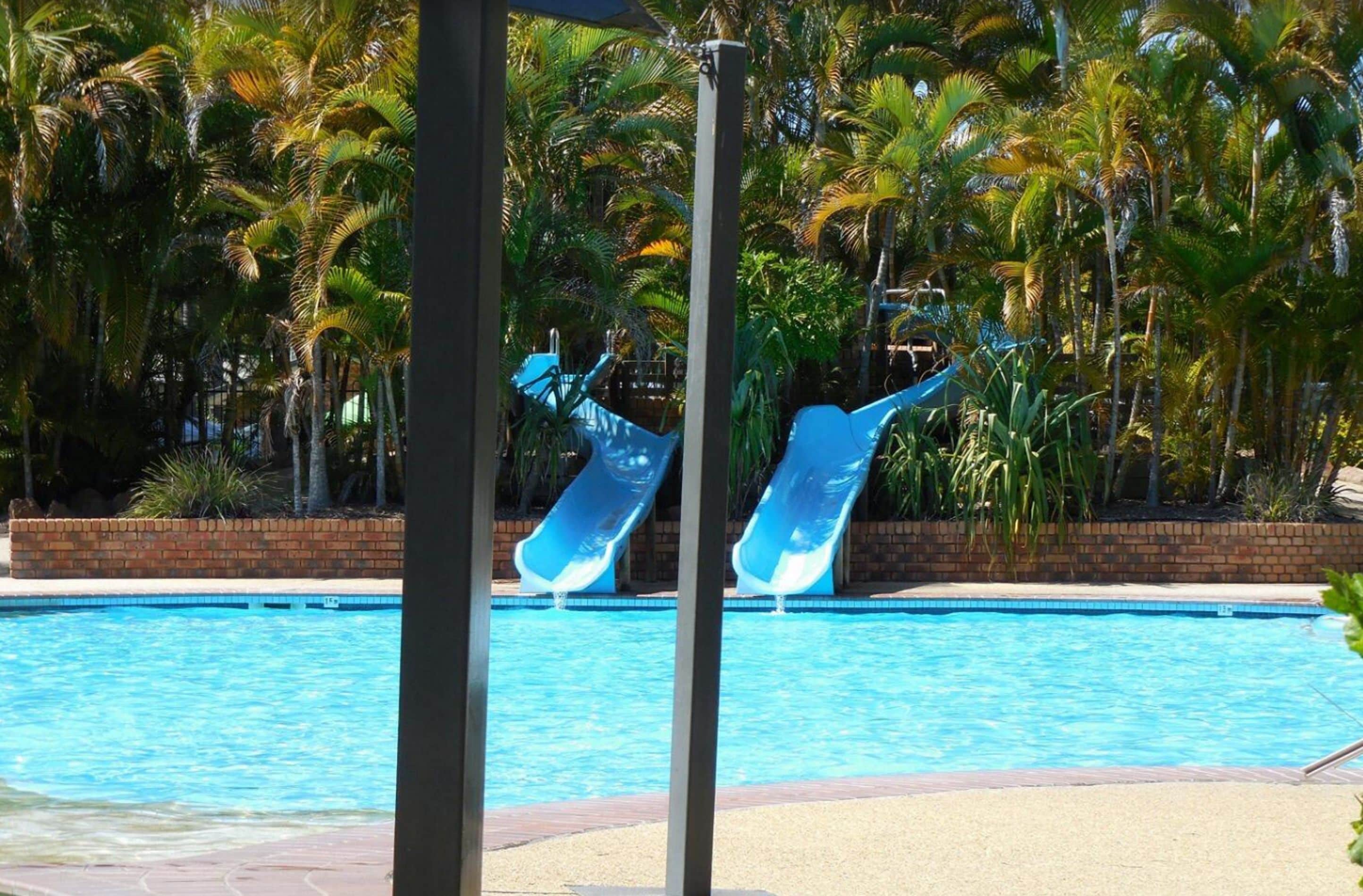 A swimming pool with two slides, surrounded by palm trees and a brick wall.