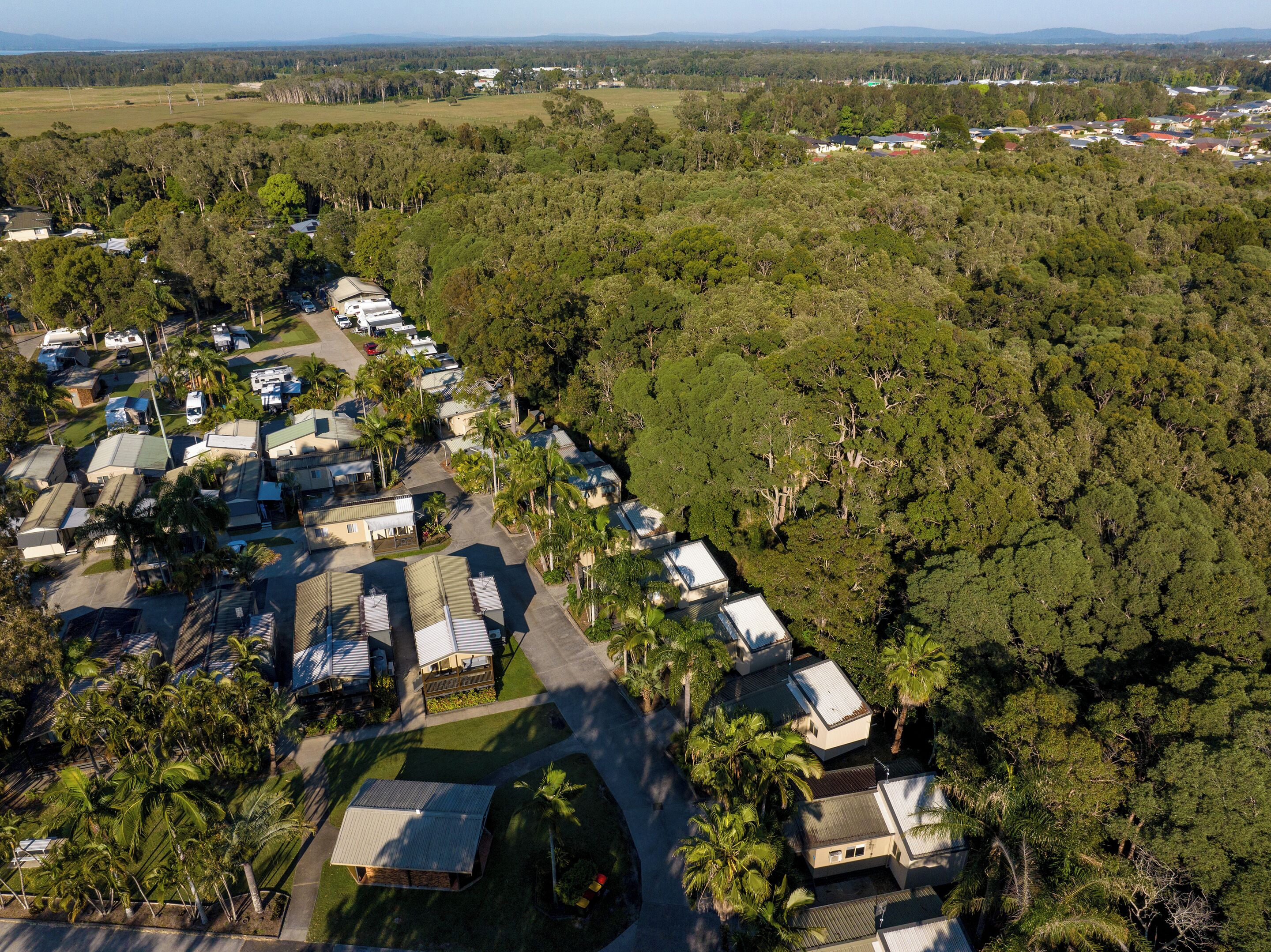 Vista aérea de una zona residencial con casas y viviendas móviles, rodeada de un bosque denso.