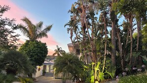 A landscaped garden with a paved walkway, various tropical plants, and a building in the background. - Southern Cross Guest House (Cape Town)