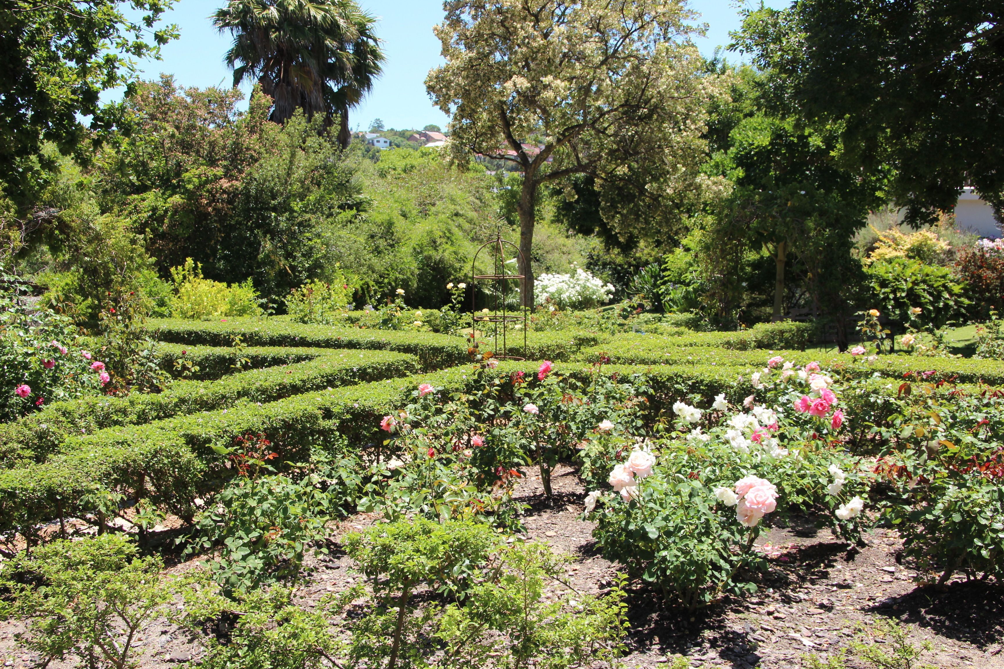 A garden with neatly trimmed hedges and blooming flowers.