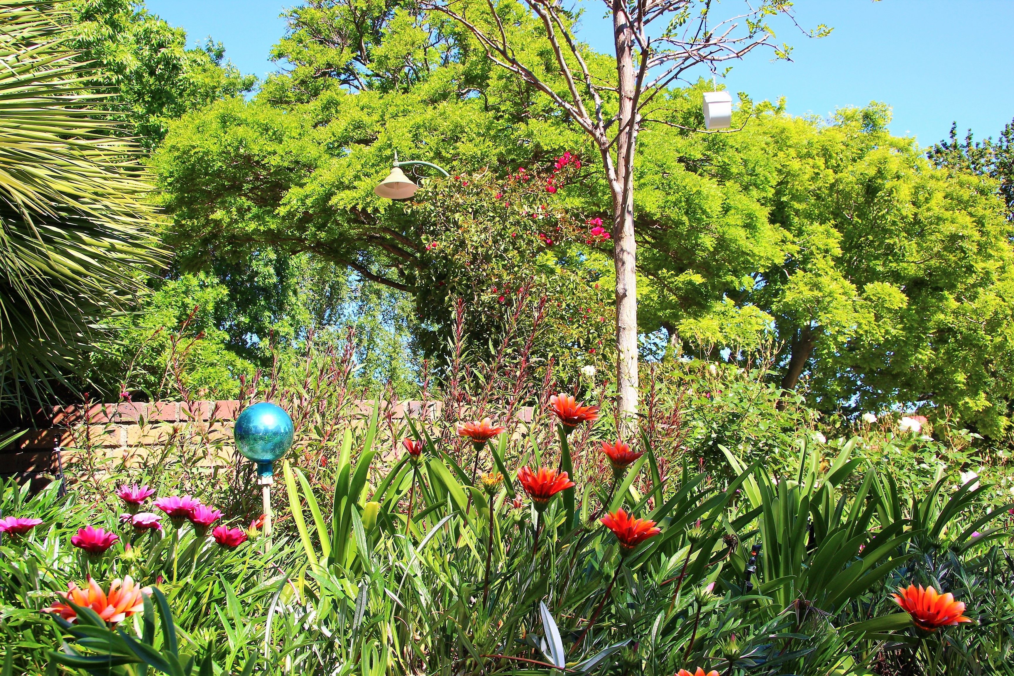 إطلالة على الفناء