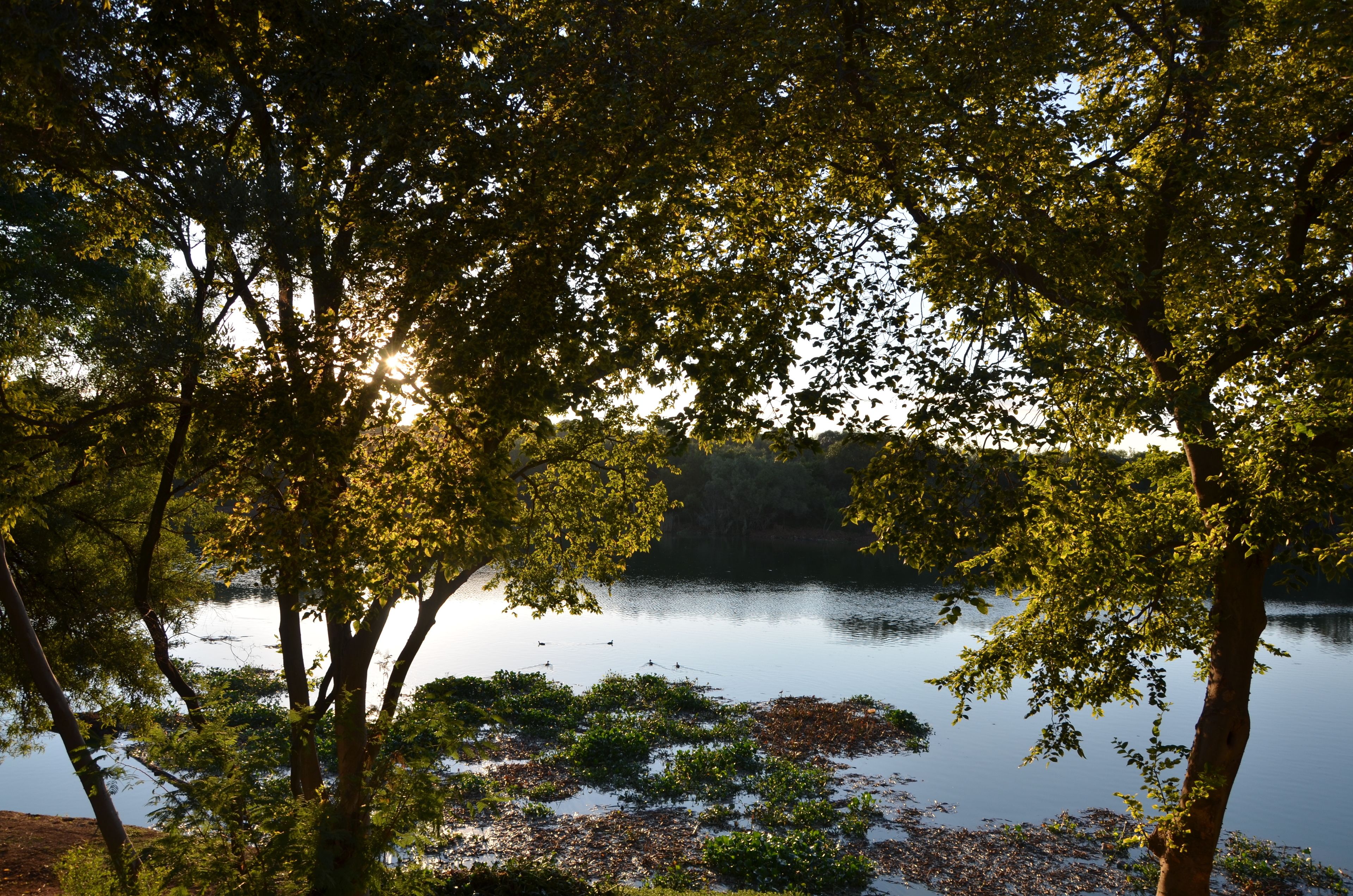 A serene lakeside view with trees framing the water.