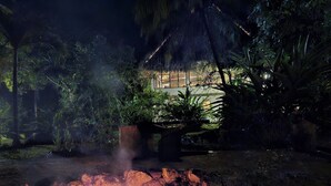 Un resort tropical con un edificio de techo de paja rodeado de exuberante follaje.