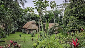 Land view from property