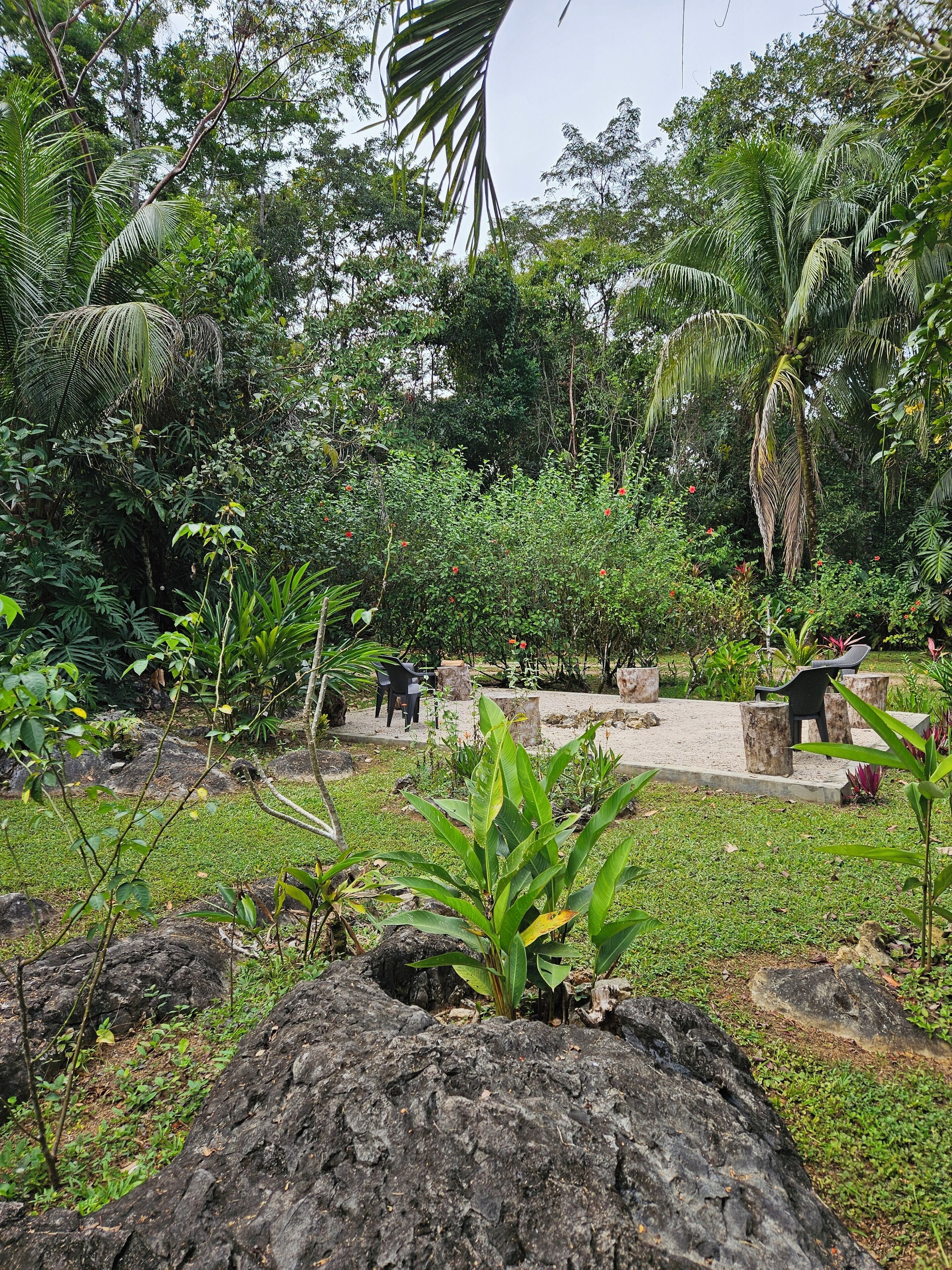 A lush garden with various plants and trees, a paved area with seating, and a rocky foreground.