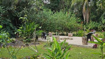 A lush garden with various plants and trees, a paved area with seating, and a rocky foreground.