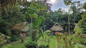 Un exuberante jardín con cabañas de techo de paja, rodeado de densa vegetación tropical.