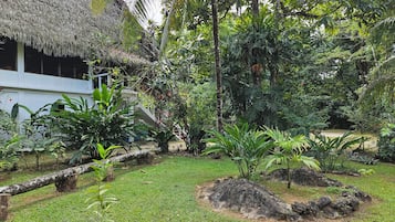 Ngoại thất