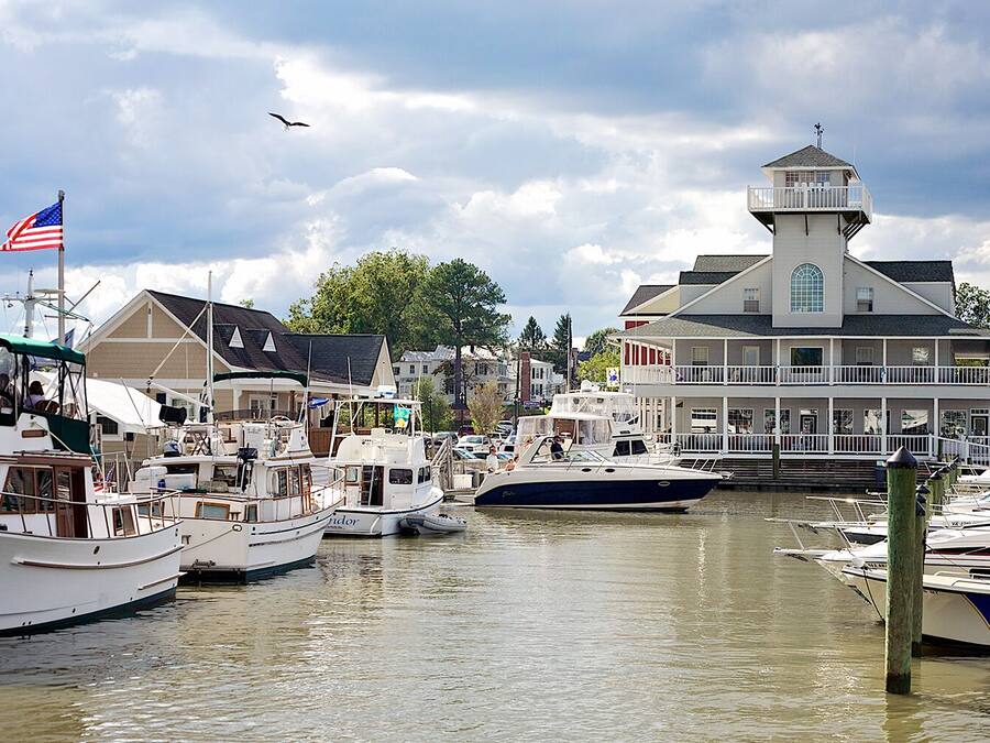 A marina with multiple boats docked, a prominent white building with a tower, and a flag flying on a flagpole.