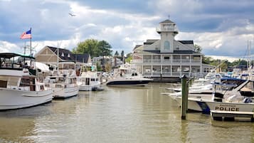 Marina