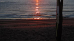 ビーチ