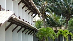Interior - Arembepe Beach (Camacari)