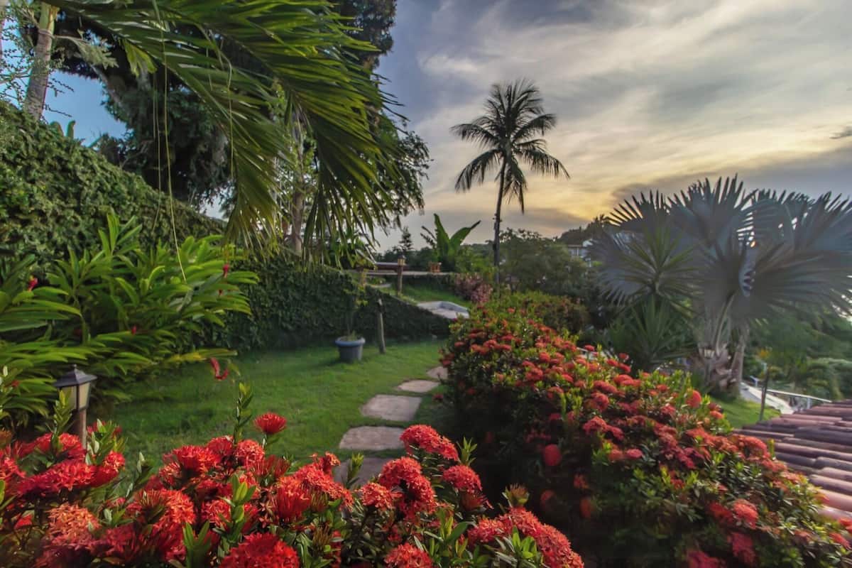 Un jardin luxuriant, avec une grande variété de plantes et de fleurs, un sentier en pierre et un palmier.