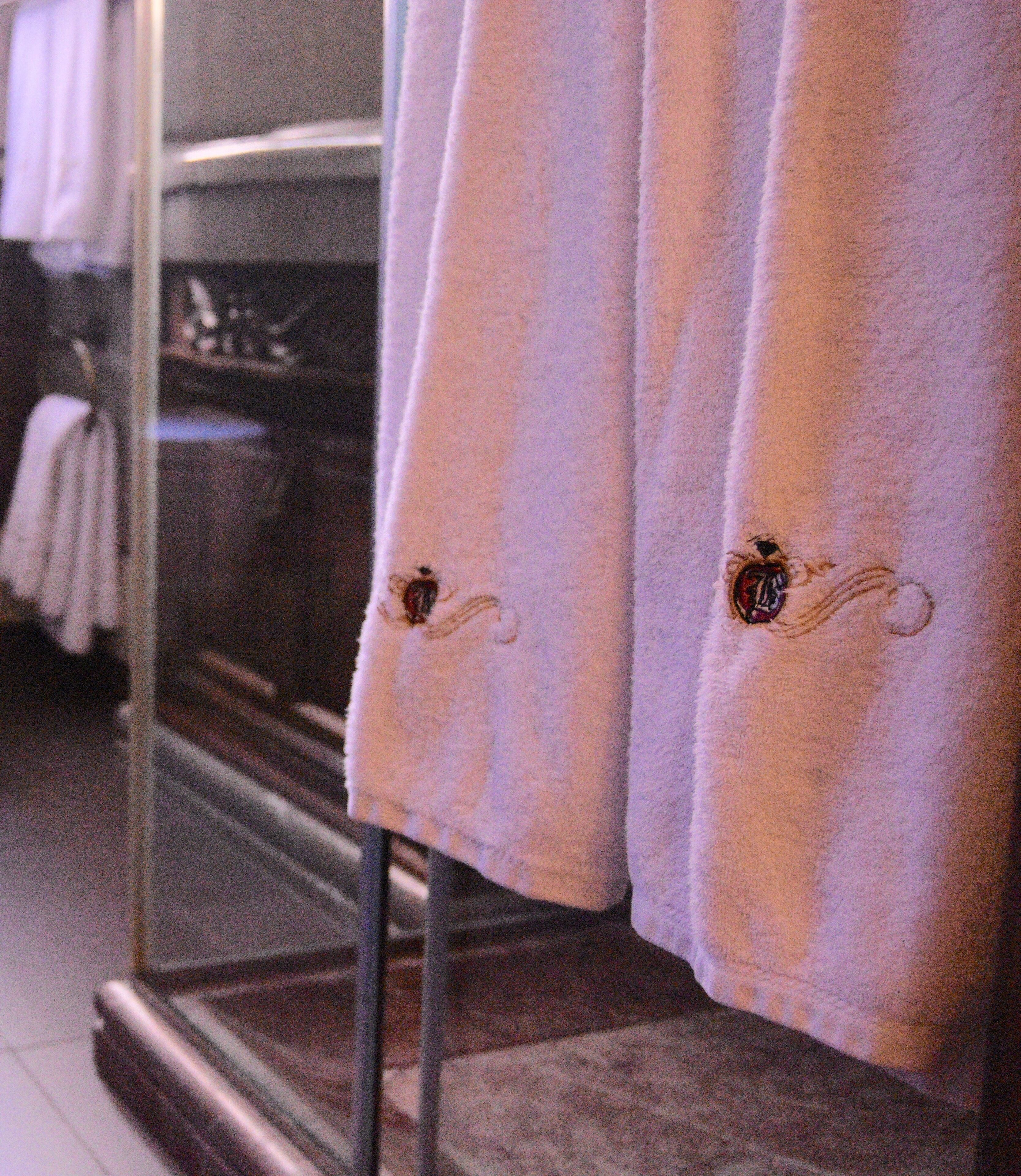 deluxe double room | living room | 38-inch lcd tv with satellite channels, tv, books