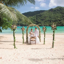 Outdoor wedding area