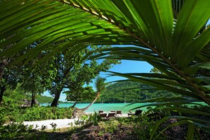 On the beach, white sand, scuba diving, snorkeling - Constance Ephélia (Mahé Island)