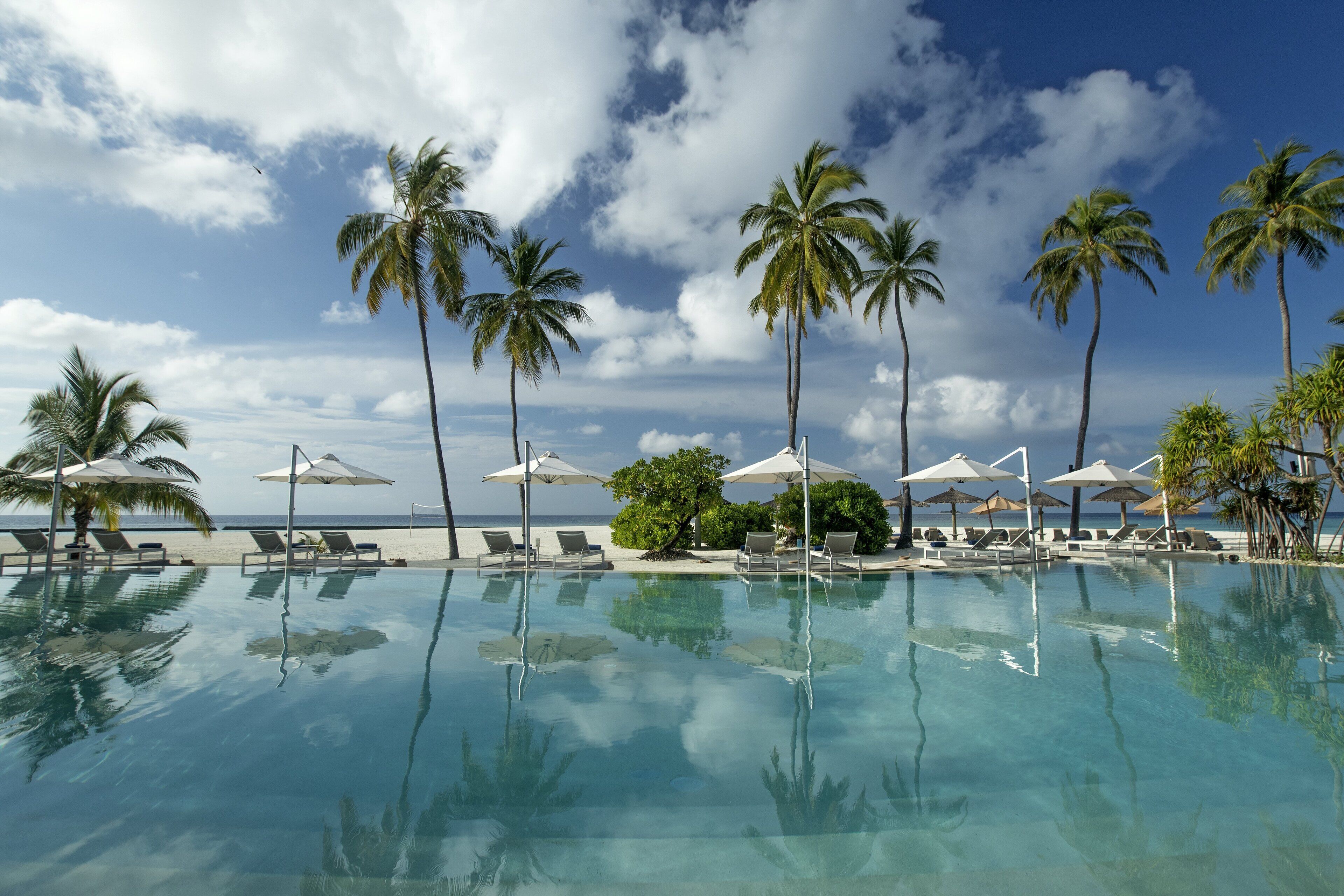 Outdoor pool, pool umbrellas, sun loungers