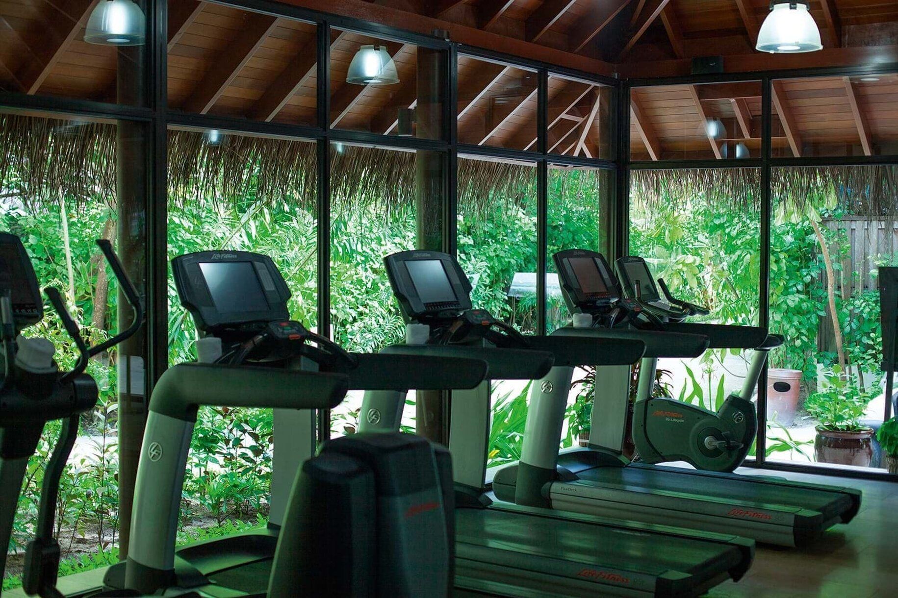 A gym with treadmills and exercise equipment, large windows with a view of greenery, and a wooden ceiling.