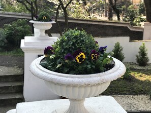 外觀