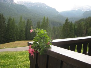 Vistas desde el alojamiento