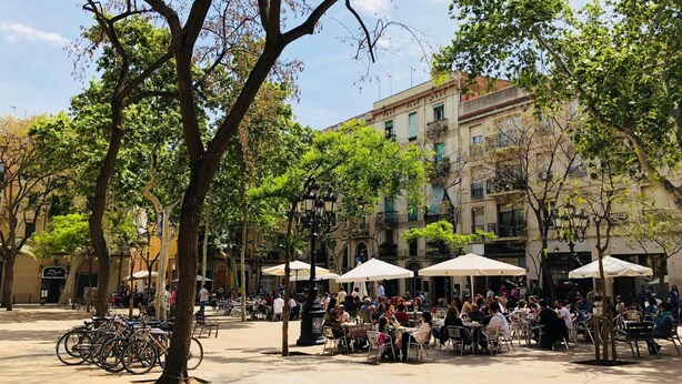 Ein Café mit Sitzgelegenheiten im Freien, Tische und Stühle unter Sonnenschirmen, umgeben von Bäumen und Gebäuden.