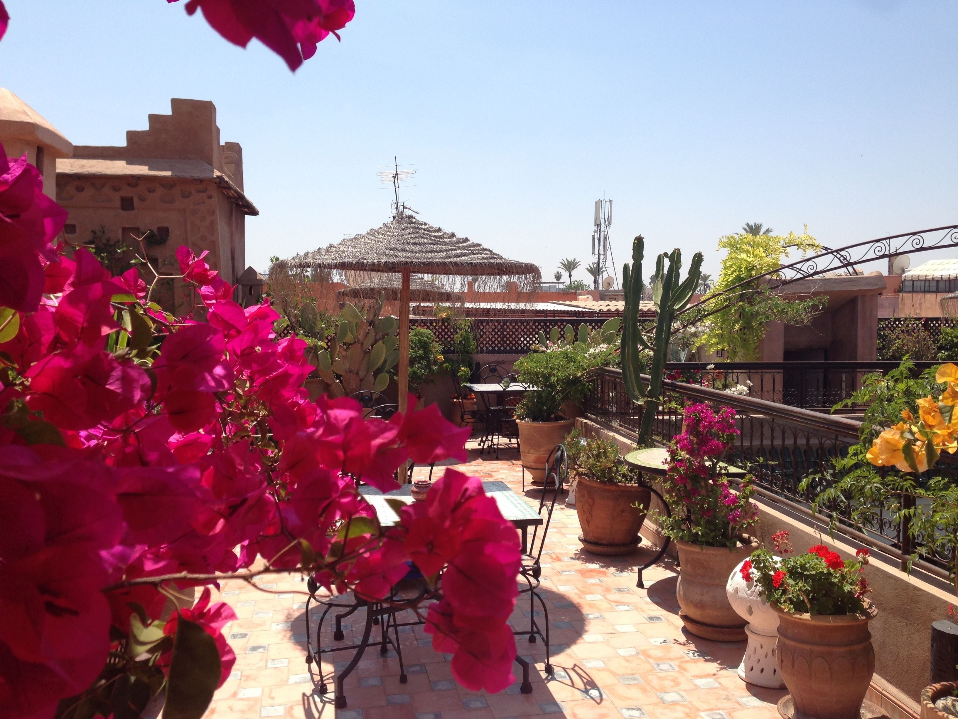 A rooftop patio with a table and chairs, surrounded by potted plants and cacti.