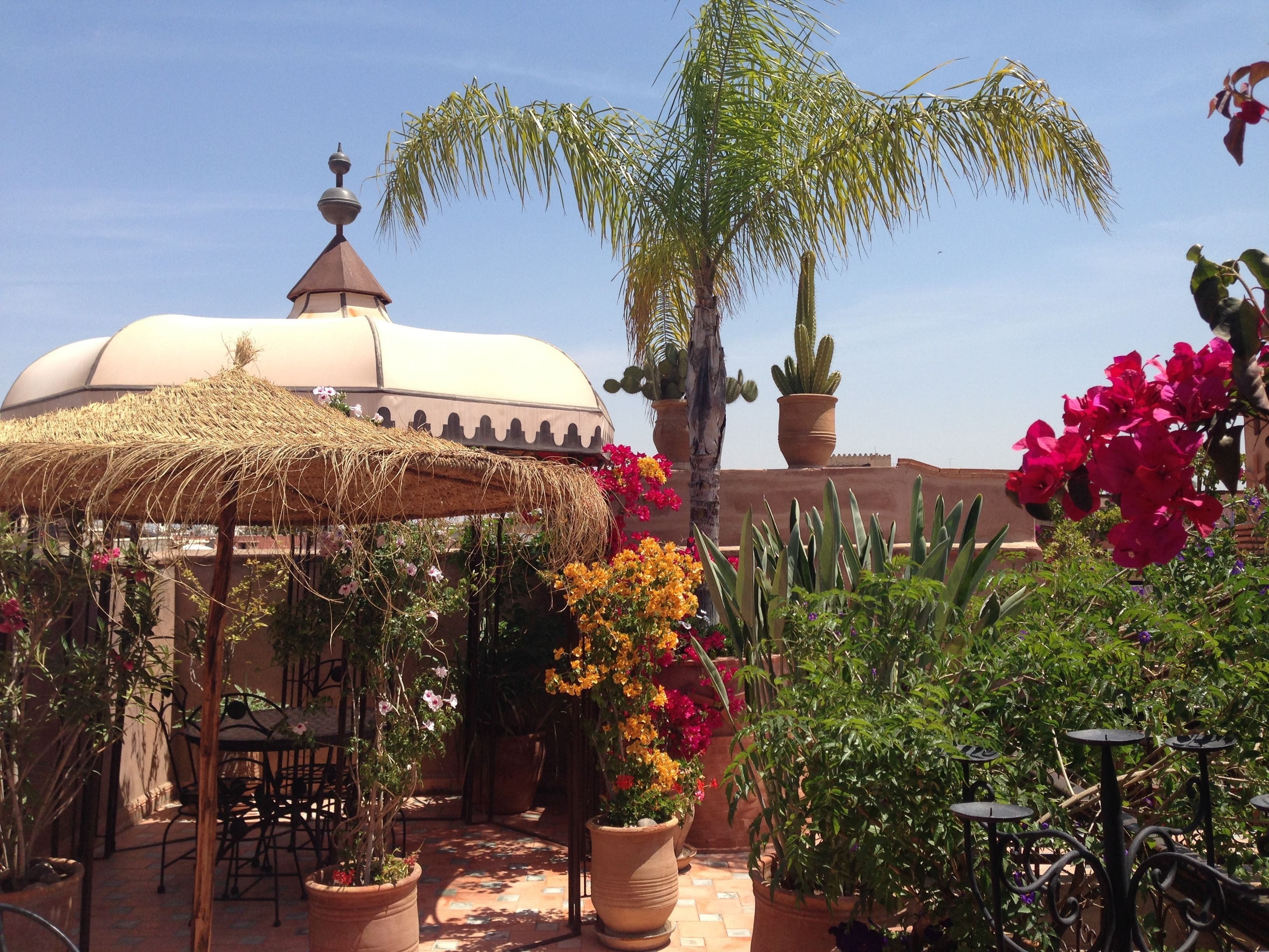 Un patio al aire libre con un toldo de paja, plantas en macetas y una palmera.