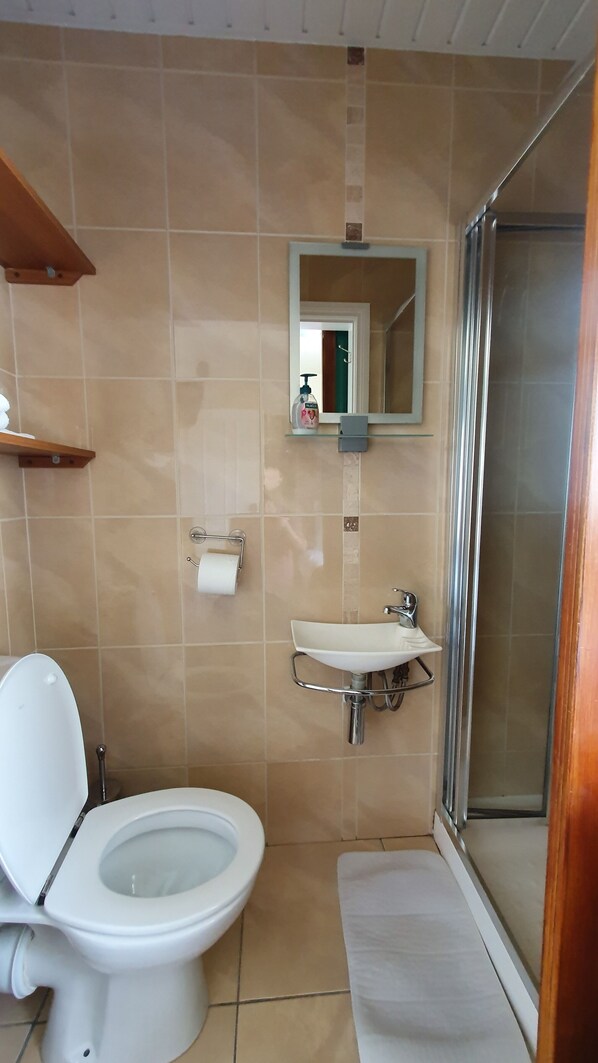 Une salle de bain avec des toilettes, un lavabo et une douche.