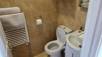 A bathroom with a toilet, sink, and towel rack.