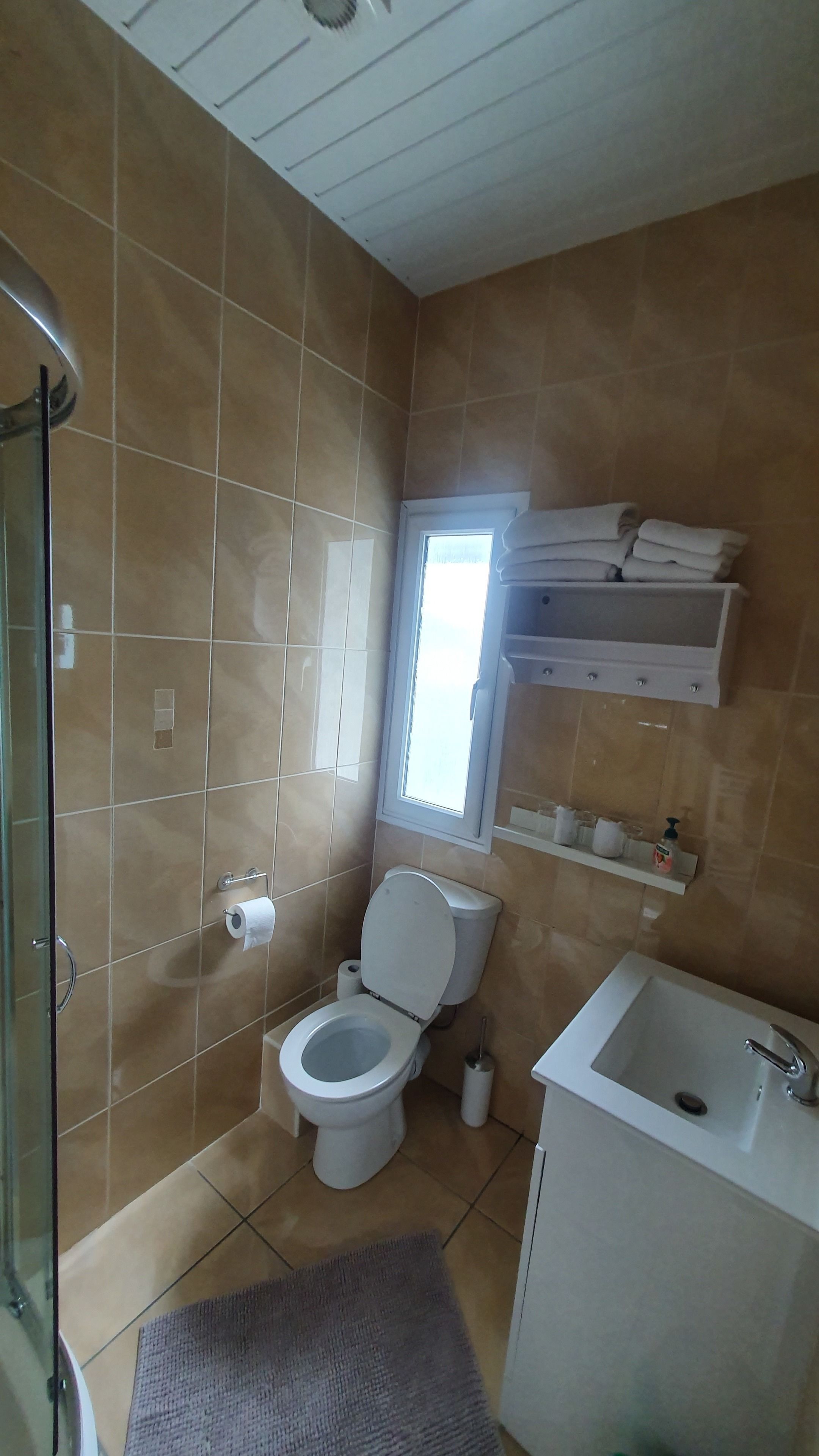 Un baño con inodoro, lavabo y zona de ducha.