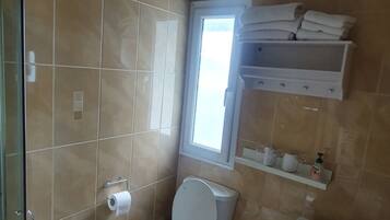 Un baño con inodoro, lavabo y zona de ducha.