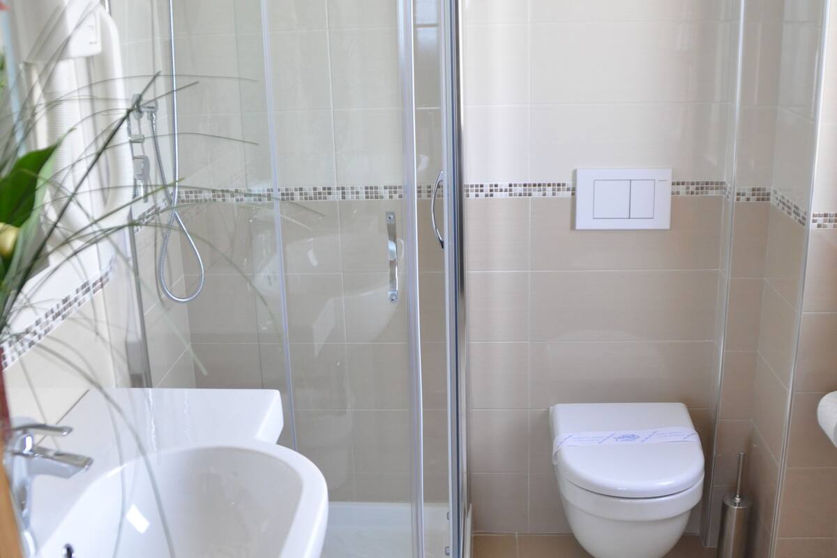 free toiletries, hair dryer, slippers, bidet