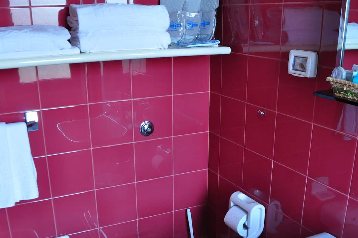 free toiletries, hair dryer, slippers, bidet