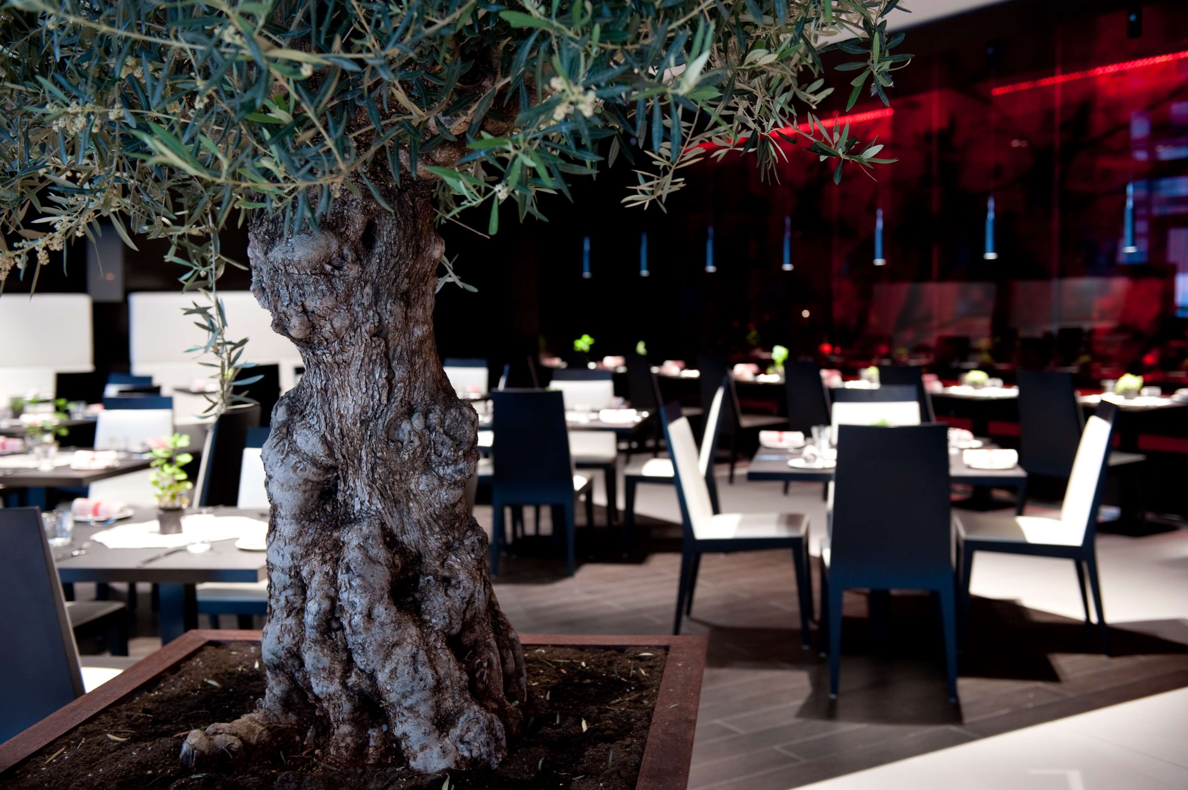 Un restaurant doté d’un grand arbre servant d’élément central, de tables, de chaises et d’un aménagement intérieur moderne.