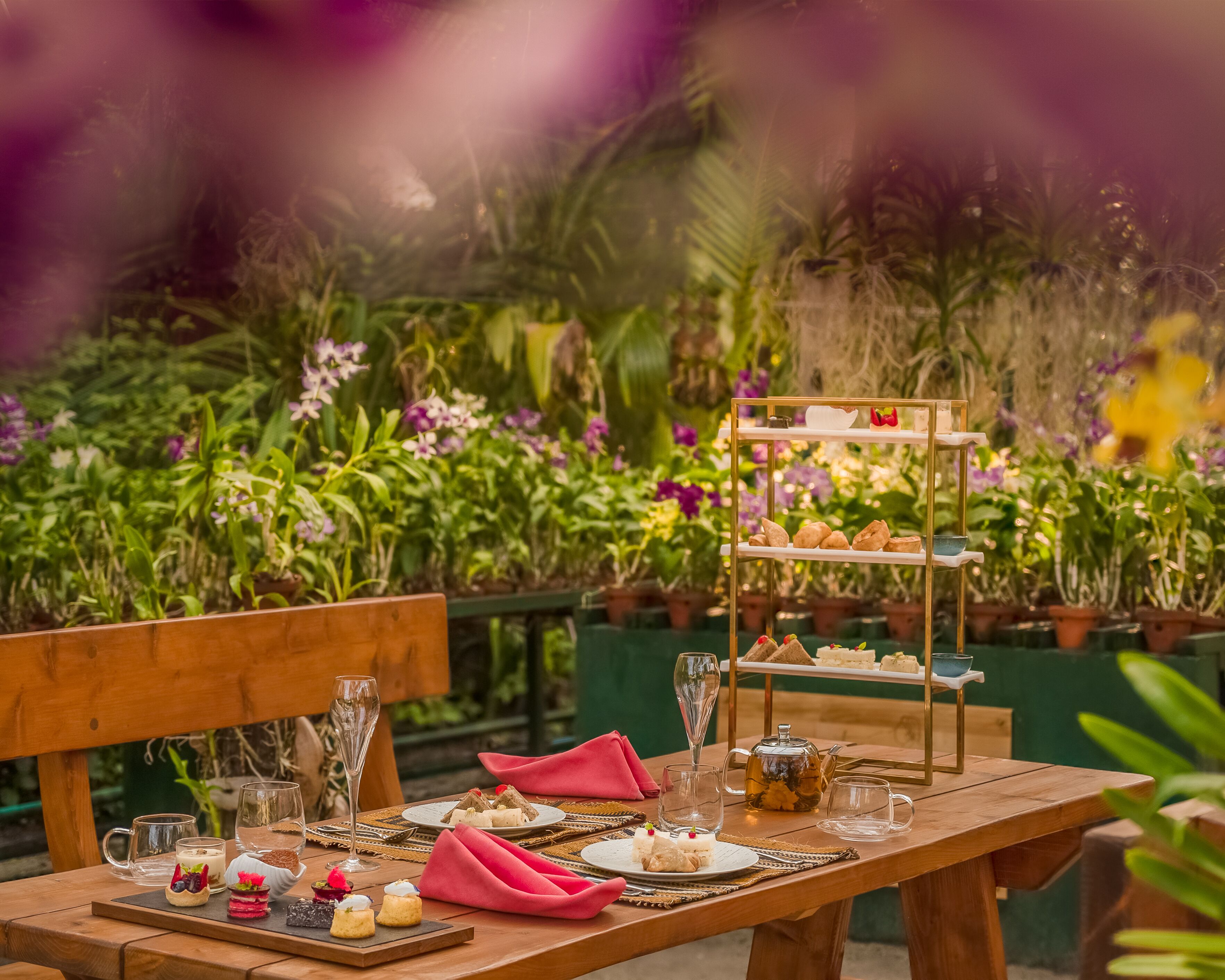 A wooden table set with various desserts and drinks, surrounded by lush greenery and potted plants.