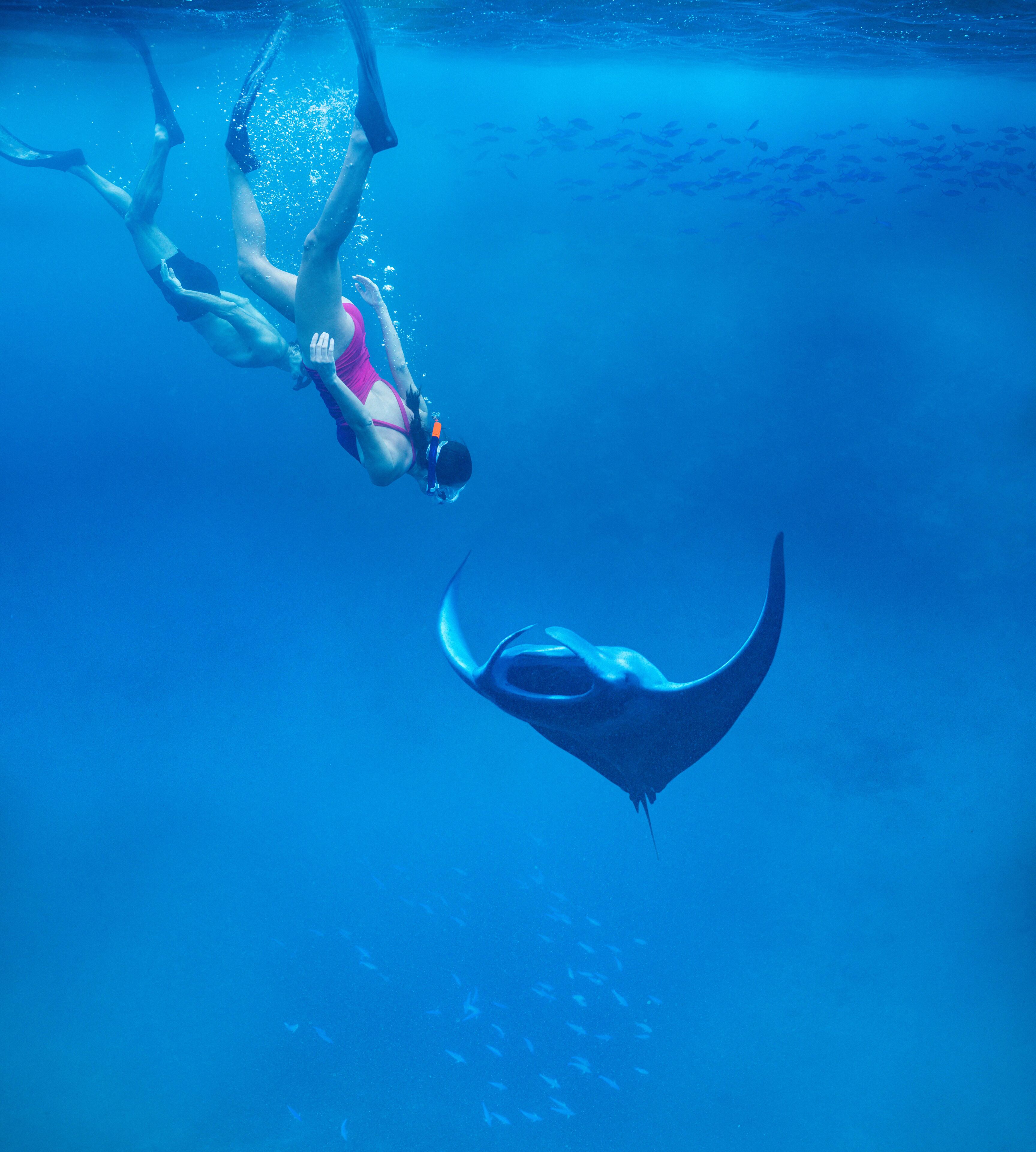 Une personne nageant sous l'eau avec une raie manta.
