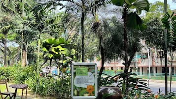 Jardín