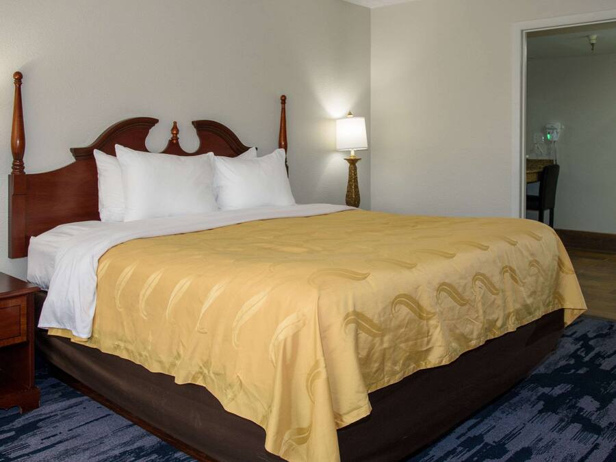 Una cama bien tendida con cabecera de madera, dos mesitas de noche con lámparas y suelo alfombrado.