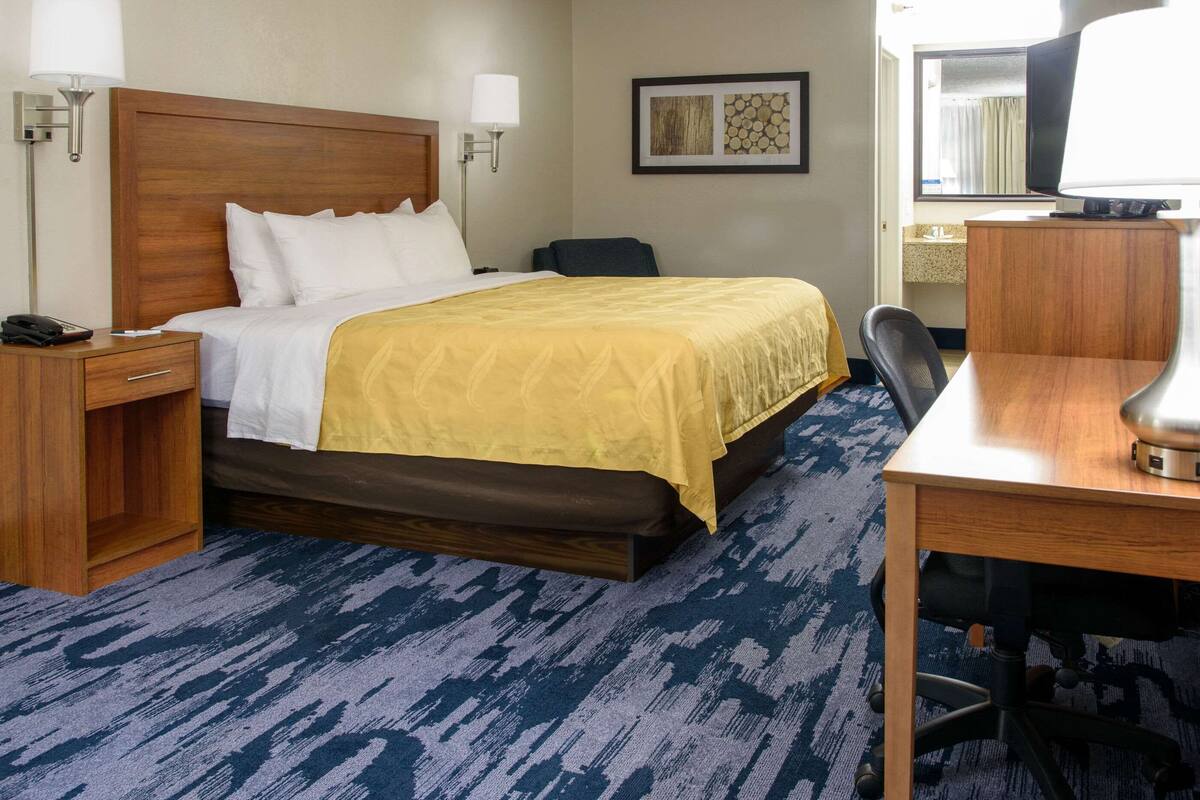 A hotel room with a bed, bedside table, lamp, desk, chair, and a framed picture on the wall.