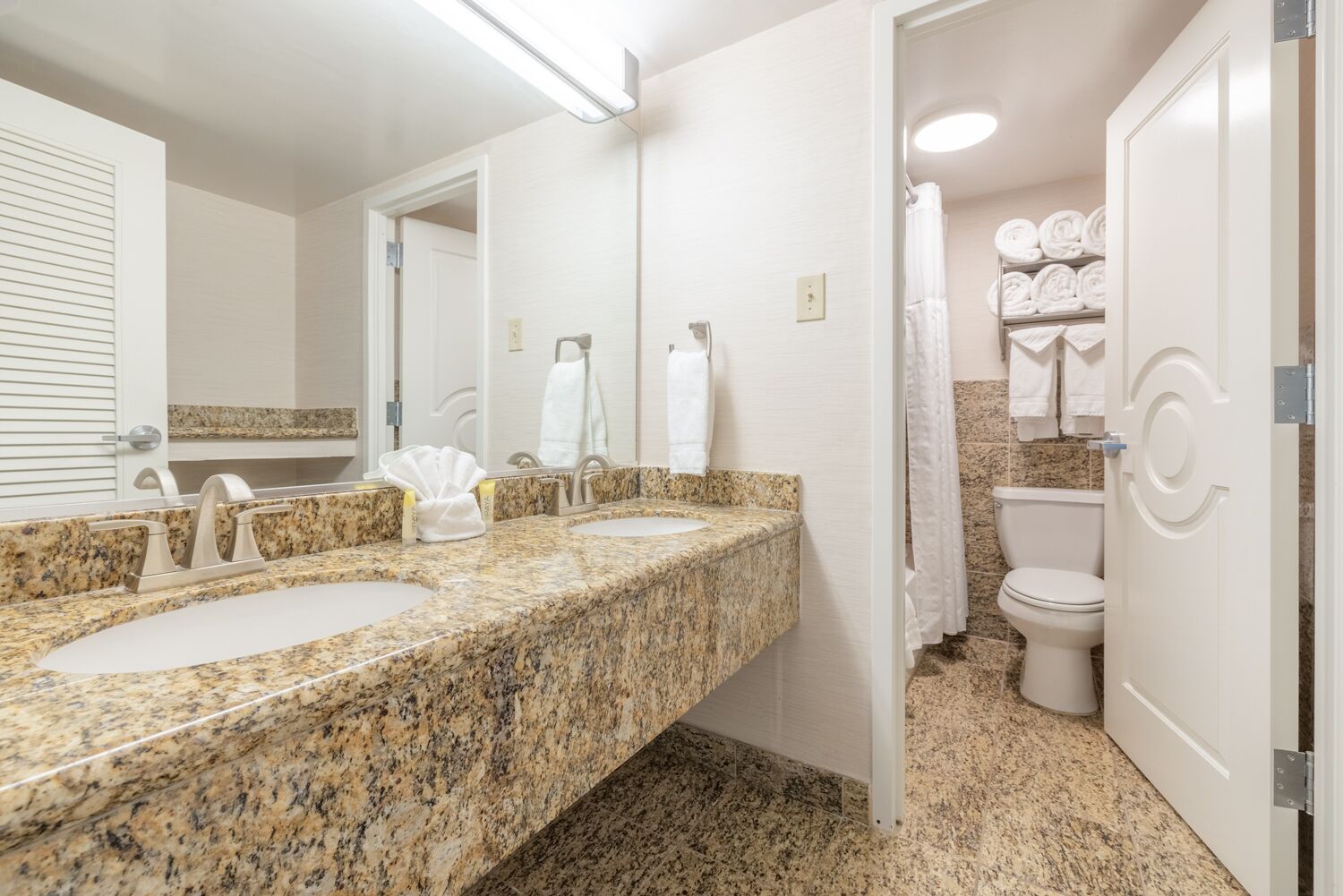 combined shower/bathtub, free toiletries, hair dryer, towels